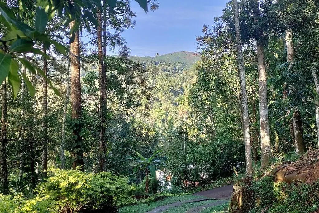 Coffee Camp Home Stay With Tree House Kattappana Ινδία