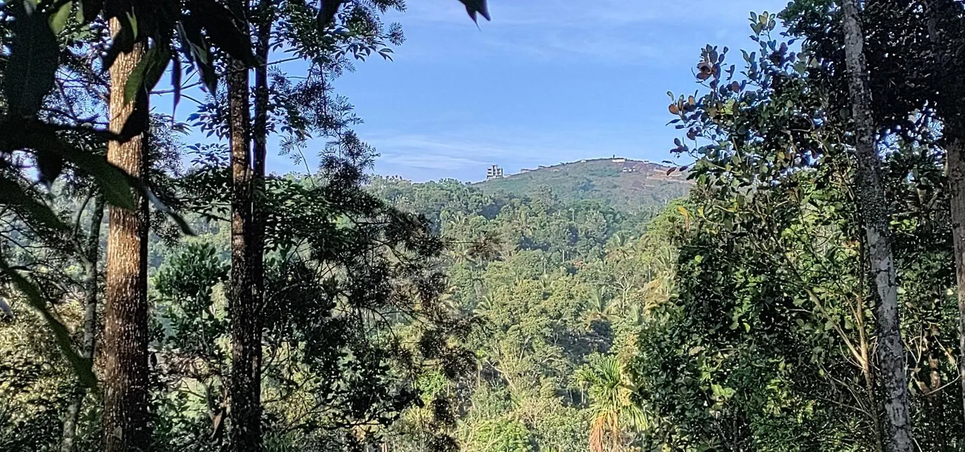 Coffee Camp Home Stay With Tree House Kattappana