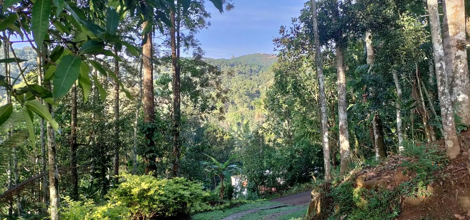Coffee Camp Home Stay With Tree House Kattappana 0*,