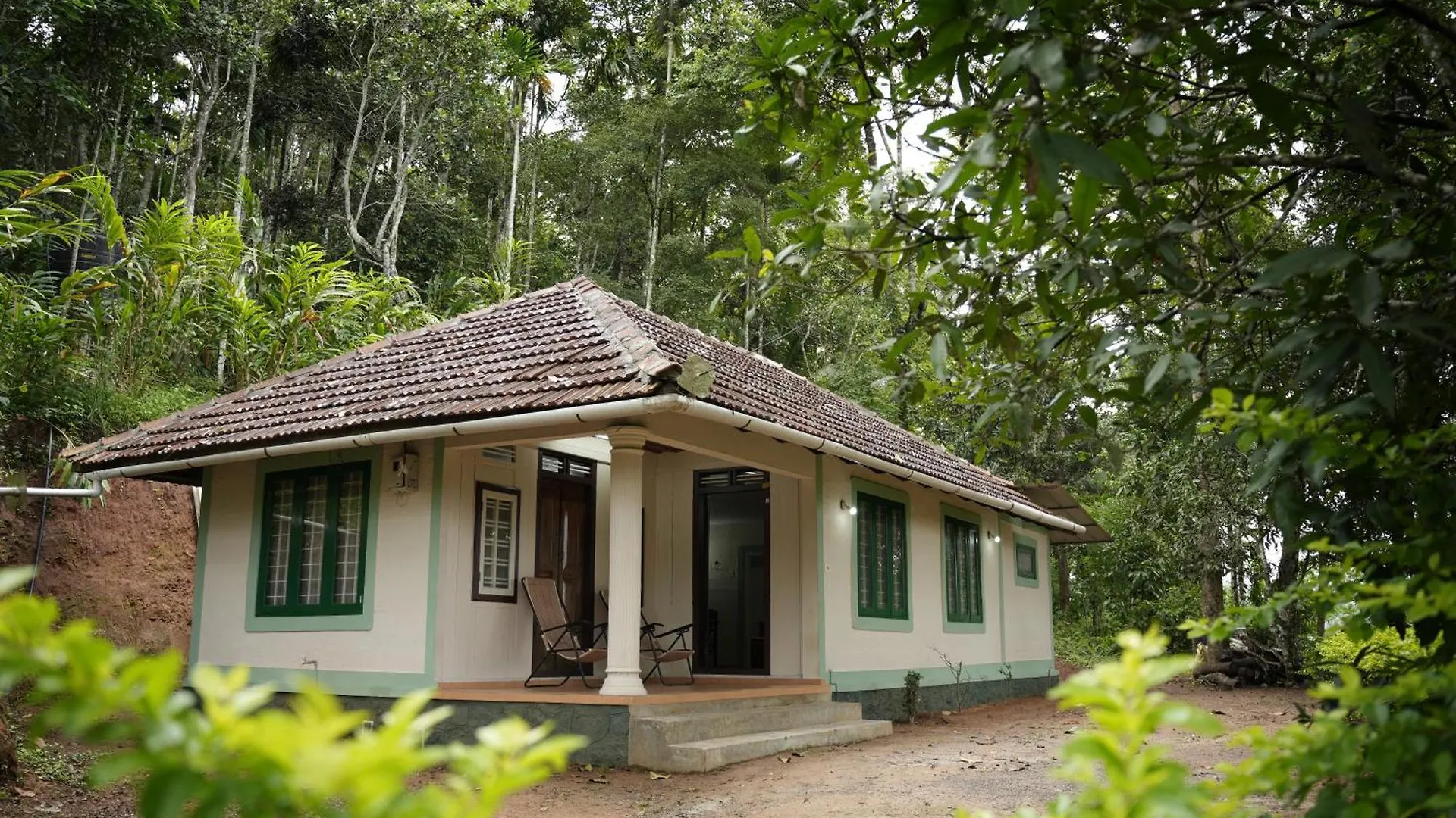 Coffee Camp Home Stay With Tree House Kattappana