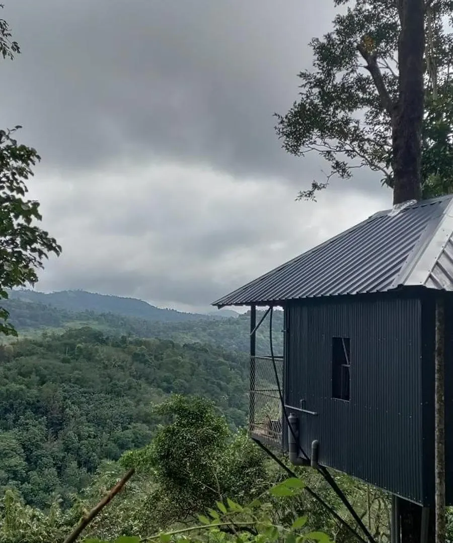 Coffee Camp Home Stay With Tree House Kattappana Ινδία