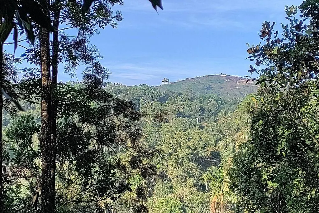 Coffee Camp Home Stay With Tree House Kattappana